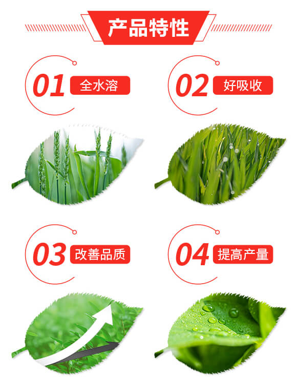 ��(f��)�����20-16-8+10-�����S_02