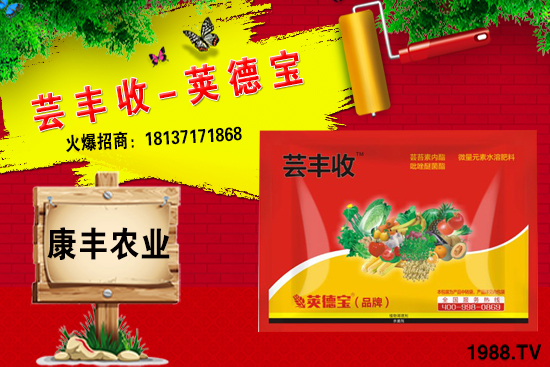 小麥高產(chǎn)套餐能解決小麥哪些問(wèn)題？小麥高產(chǎn)套餐使用方法!