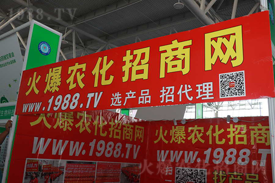 ��s���2021ɽ�|ֲ�������𱬾W(w��ng)��������ʢ�e��