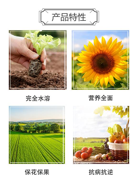 ��ɫ�к������Q(����)���޹�˾2_03