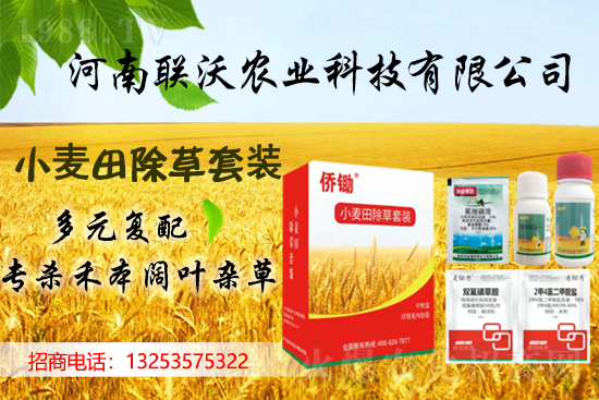 (li��n)���r(n��ng)�I(y��)�m(x��)�s1988.TV���y�ֹ���(chu��ng)���x����