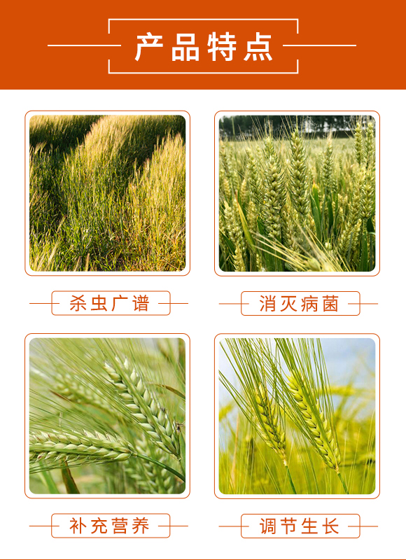 ������-��������_03