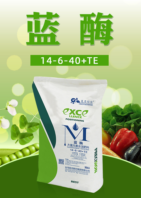 藍莓-昊月惠農_01