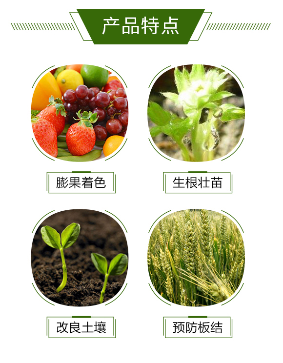 藍莓-昊月惠農_03