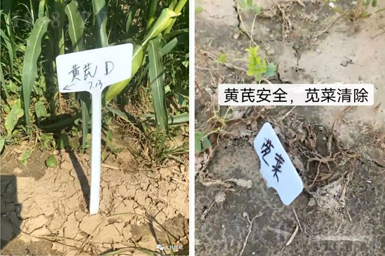 �α�2̖¡�����У�����������ɳ��{�˵��S�γ��݄������ݸ��V����ȫ����