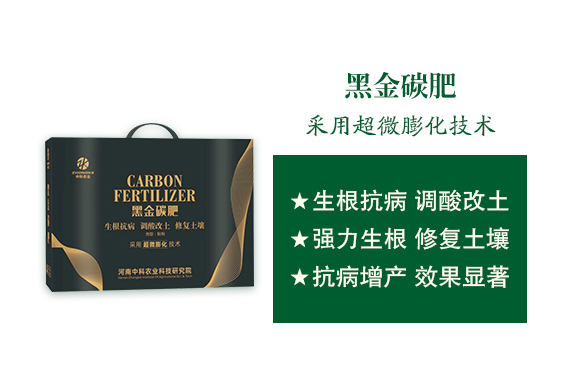 河南中科農業(yè)科技研究院1_02