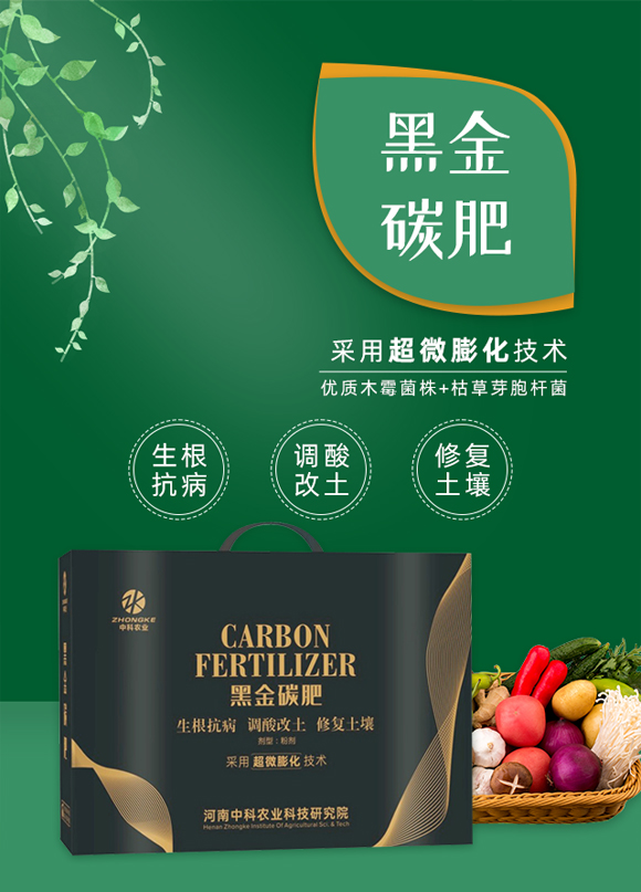 河南中科農業(yè)科技研究院1_01