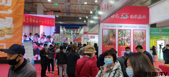 ��28�Ã�(n��i)�ɹ��r(n��ng)����(hu��)