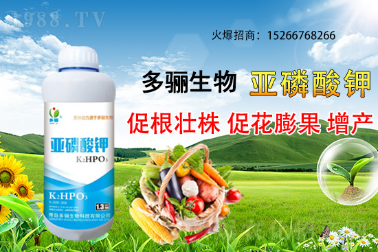 3月份適合種植什么藥材？哪些藥材種植前景好又賺錢