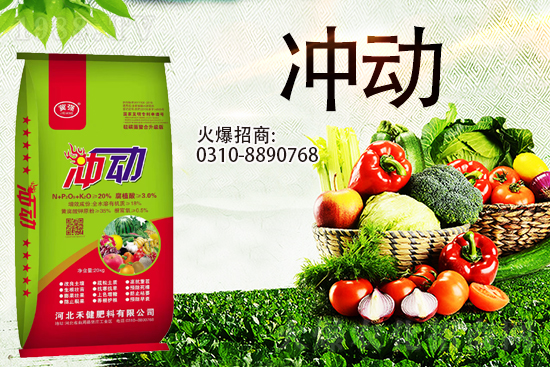 �����̙C(j��)���������A���ӱ��̽��ɹ����s1988.TV������(chu��ng)�������죡