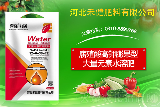 �����̙C(j��)���������A���ӱ��̽��ɹ����s1988.TV������(chu��ng)����������