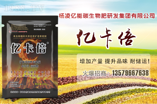 菠蘿蜜產(chǎn)地在我國哪些省份?菠蘿蜜有哪些常見品種?