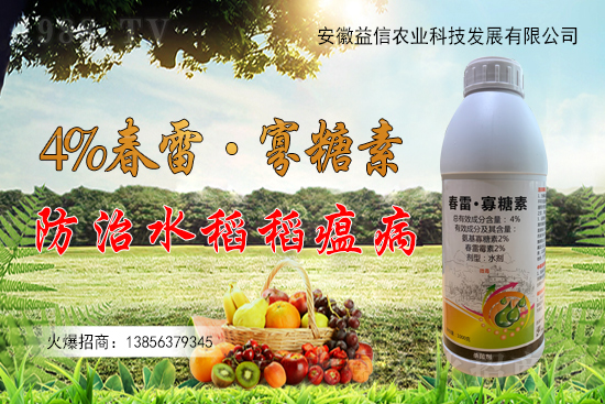 ���r(n��ng)���W(w��ng)ϲӭ���������y�������r(n��ng)�I(y��)����ؔ(c��i)��֮·��