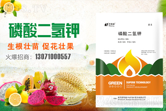 ��(zh��n)�Ժ�������������˹���ʘI(y��)�y��1988.TV�ل�(chu��ng)�x����