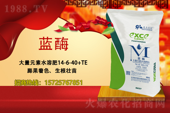 �y�ֹ��M(j��n)���T�����x������»��r(n��ng)���s�r(n��ng)���W(w��ng)���A2021��