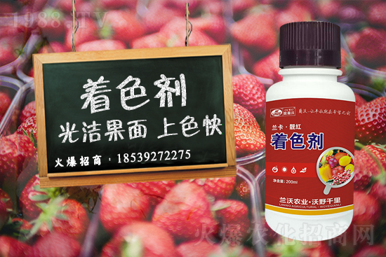 �����P(gu��n)ϵ�����A���m���r(n��ng)�I(y��)�c1988.TV�_����ƪ�£�