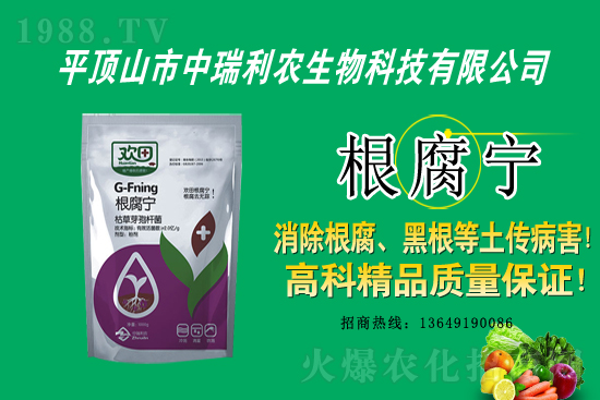 ����������(j��)���������r(n��ng)�y���r(n��ng)���W(w��ng)�����W(w��ng)�j(lu��)����·��