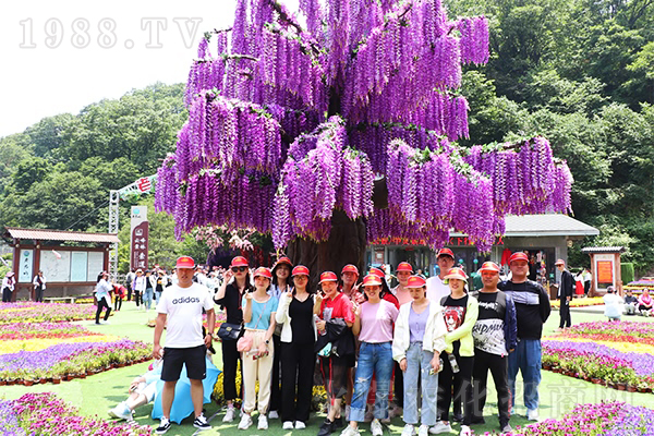 Ŭ���ʵ������е�ÿһ����ɽ