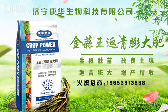 2021年7月13日大蒜價格行情報價