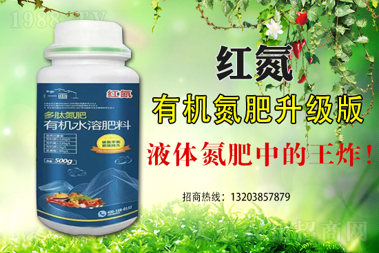 玉米為什么會(huì)出現(xiàn)早衰這種現(xiàn)象？如何避免玉米早衰？