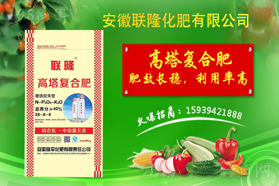 �����P(gu��n)ϵ�����A��(li��n)¡�����m(x��)�s1988.TV�����\�����°l(f��)չ��