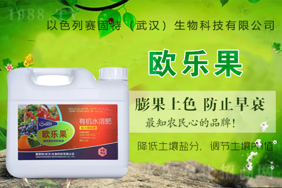 ��ɫ��ِ�����ٶȔy��1988.TV���y�ֹ���(chu��ng)��(zh��n)�����ل�(chu��ng)�x����