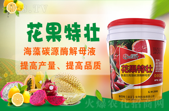 ��ɫ��ِ�����ٶȔy��1988.TV���y�ֹ���(chu��ng)��(zh��n)�����ل�(chu��ng)�x����