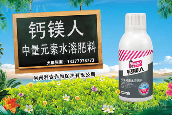 ��ռ�̙C���������A�����������y���r(n��ng)���W(w��ng)�ل�(chu��ng)���x����