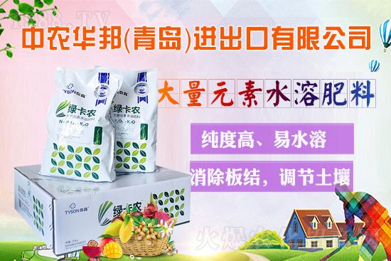 ���r���Wϲӭ�����������r�A��݁��u��