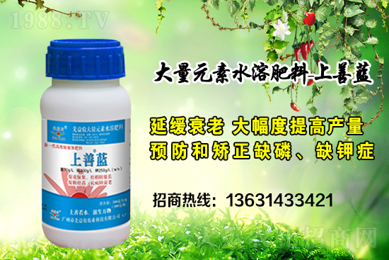 �V���������r(n��ng)�ٶȔy��1988.TV���y�ֹ���(chu��ng)��(zh��n)����