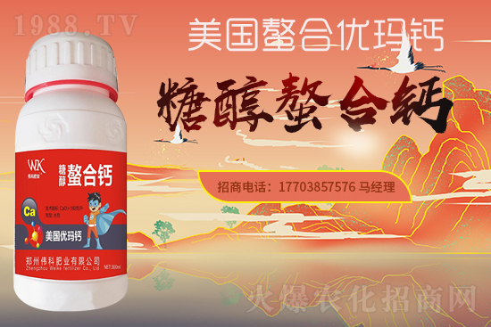 �����ƷʘI(y��)��ףȫ���������µ�һ�����������ࡢ�q�qƽ����