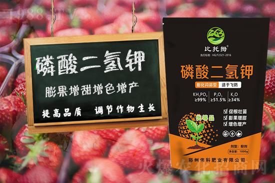 �����ƷʘI(y��)��ףȫ���������µ�һ�����������ࡢ�q�qƽ����