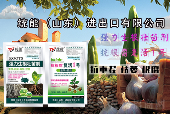 ��ɽ�|�y(t��ng)�ܡ�ףһ·�߁������т�����������\�o����