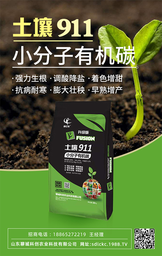 山東聊城科創(chuàng)再簽1988.TV,共謀合作促雙贏!