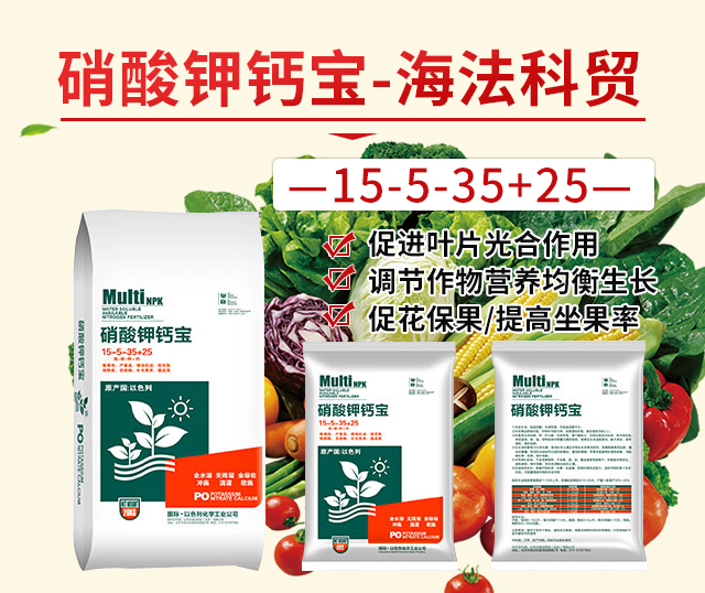 ������}��-�������Q(m��o)_03