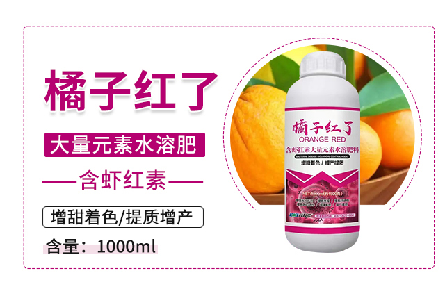 橘子紅了-科利農(nóng)_03