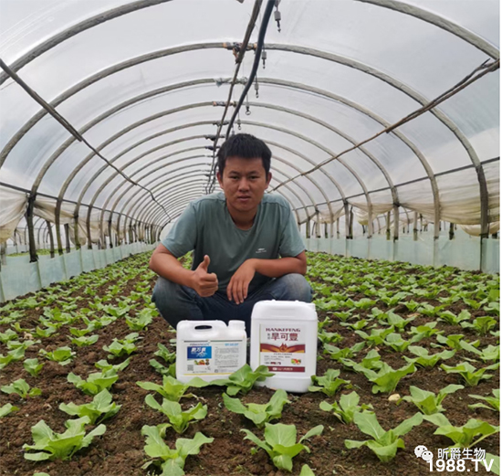 昕爵集團(tuán)79