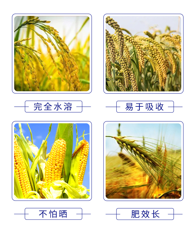 ΢�������-�󻯷ʘI(y��)_05