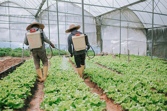 �ذ������ߌóɶ��N�I(y��)���[�����n11��18��