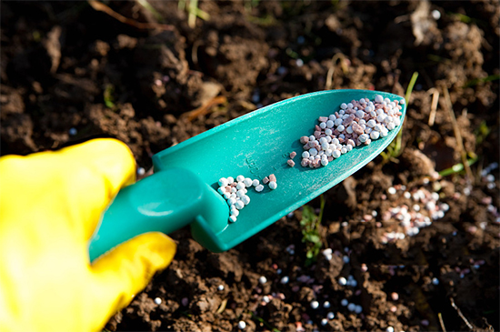 �ذ������ߌóɶ��N�I(y��)���[�����n11��18��