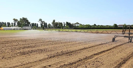 �ذ������ߌóɶ��N�I(y��)���[�����n11��18��