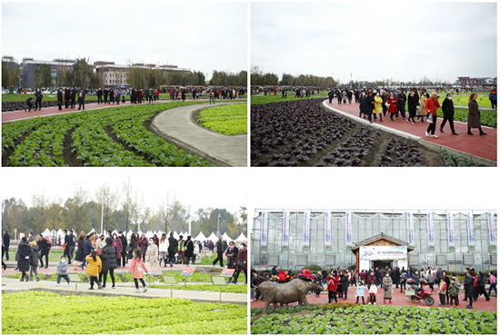 �ذ������ߌóɶ��N�I(y��)���[�����n11��18��