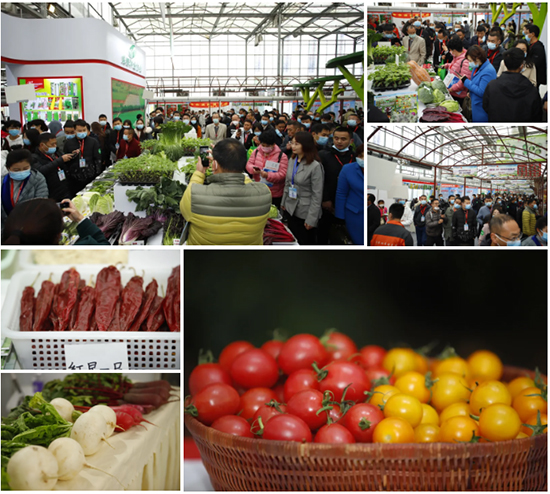 �ذ������ߌóɶ��N�I(y��)���[�����n11��18��