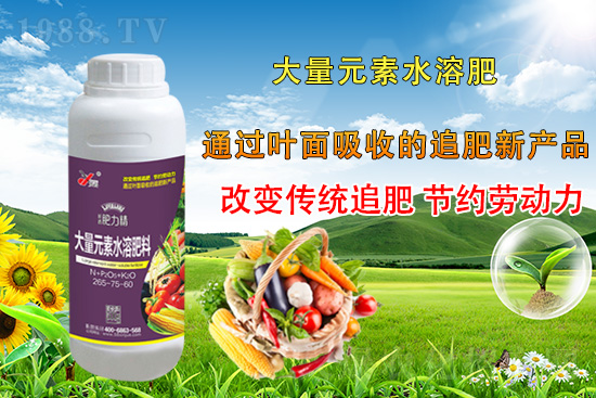 作物落花落果、座果低不用急！激發(fā)潛能，促花座果的秘訣在這！