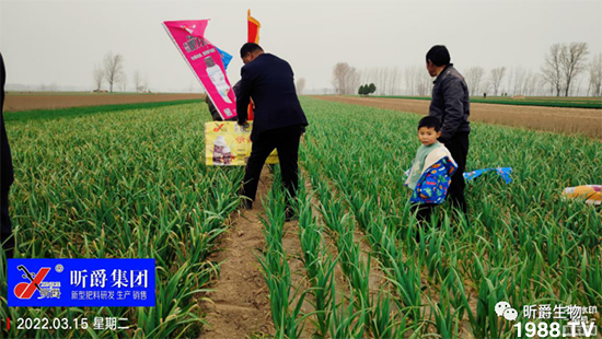 作物落花落果、座果低不用急！激發(fā)潛能，促花座果的秘訣在這！