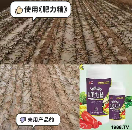 作物落花落果、座果低不用急！激發(fā)潛能，促花座果的秘訣在這！