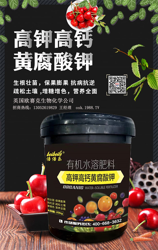 一袋黃腐酸鉀=生根＋土壤改良＋有機(jī)肥！黃腐酸鉀為何如此神奇？