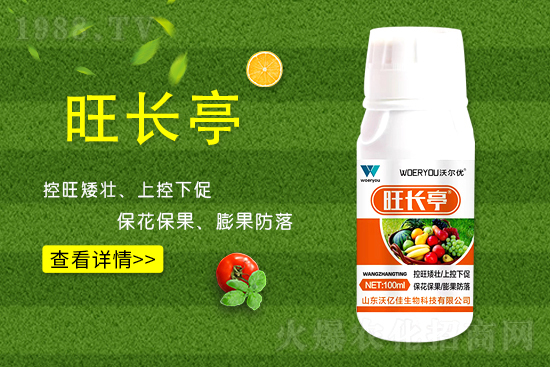 什么是黃瓜旺長？黃瓜旺長的防控措施