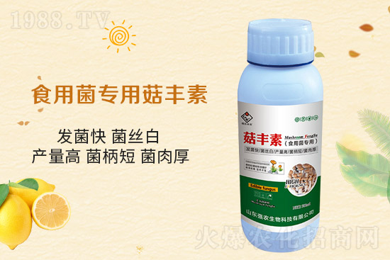 平菇栽培要點，需要注意哪些事項？