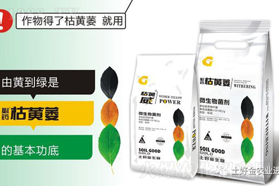 枯黃萎、立枯等病害怎樣滅殺？用它就夠了！